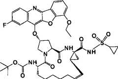 Figure G2008101743025D000610