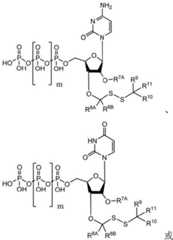 Figure BDA0003670511740003331