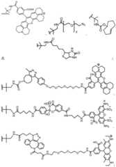 Figure BDA0003670511740002771