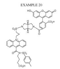 Figure imgf000075_0001