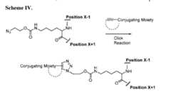 Figure imgf000030_0002