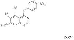 Figure imgf000033_0001