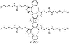 Figure BDA0003590456550000361