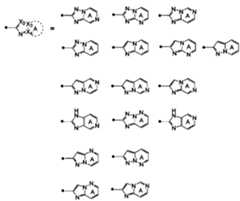 Figure JPOXMLDOC01-appb-C000026