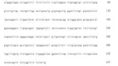 Figure 108123466-A0305-02-0261-36