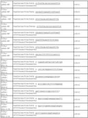 Figure imgf000175_0001