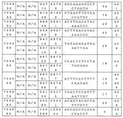 Figure 0007646616000040