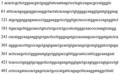 Figure BDA0002465283840000462