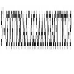 Figure 112016075275816-pat00008