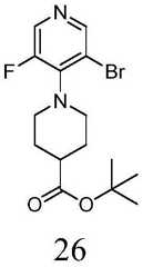 Figure BDA0001412716210005472