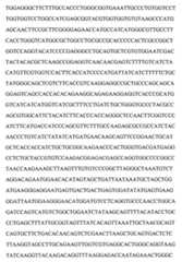 Figure 104109152-A0202-12-0086-17