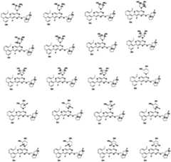 Figure PCTCN2022124111-appb-100012