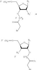 Figure US12338436-20250624-C00375