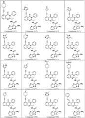 Figure imgf000089_0001