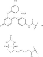 Figure US08592377-20131126-C00073