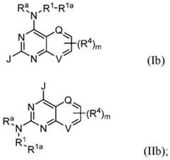Figure imgf000018_0001