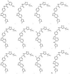 Figure PCTCN2020074983-appb-100012