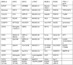 Figure imgf000032_0001