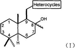 Figure DSA0000150566120000011
