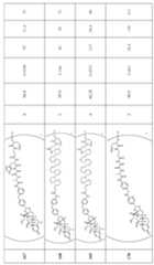 Figure imgf000343_0001