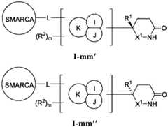 Figure BDA0003783300830000701