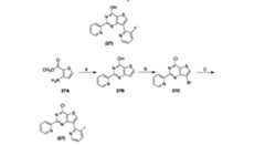 Figure imgf000229_0001