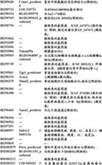 Figure BDA0000057170160001681