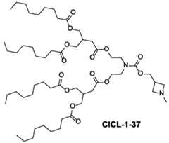Figure imgf000044_0002