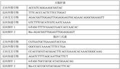 Figure BDA0003026995310000061