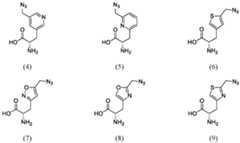 Figure imgf000163_0003