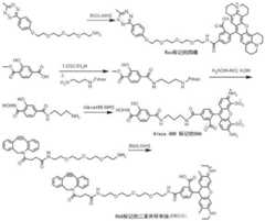 Figure BDA0003670511740004541