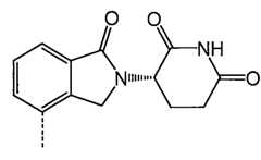 Figure 112134112-A0202-13-0015-787