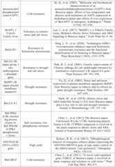 Figure PCTCN2022090268-appb-000019