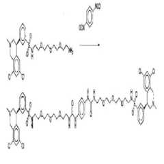 Figure 112011059052603-pct00439