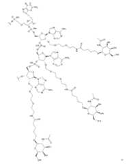 Figure 112117718-A0304-12-0096-18