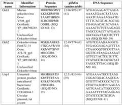 Figure imgf000045_0002