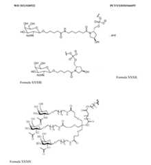 Figure imgf000092_0001