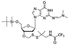 Figure imgf000299_0001