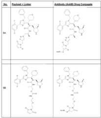 Figure imgf000034_0001