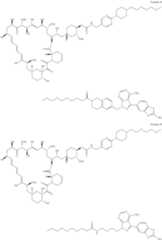 Figure US11364300-20220621-C00346