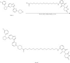 Figure US11969472-20240430-C00196