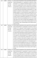 Figure imgf000146_0001