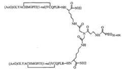 Figure 112005065158015-pct00019