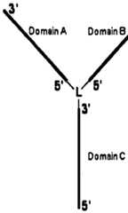 Figure imgf000074_0001