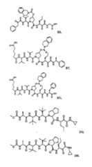 Figure G2009101493490D00751