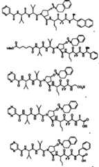 Figure F2009101493490C00201