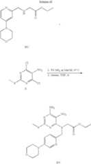 Figure US08367670-20130205-C00172