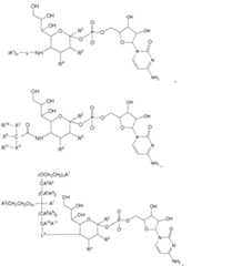 Figure 112009026250918-PCT00193