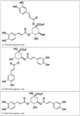 Figure imgf000006_0001
