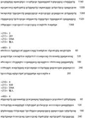 Figure IDA0002935257620000031